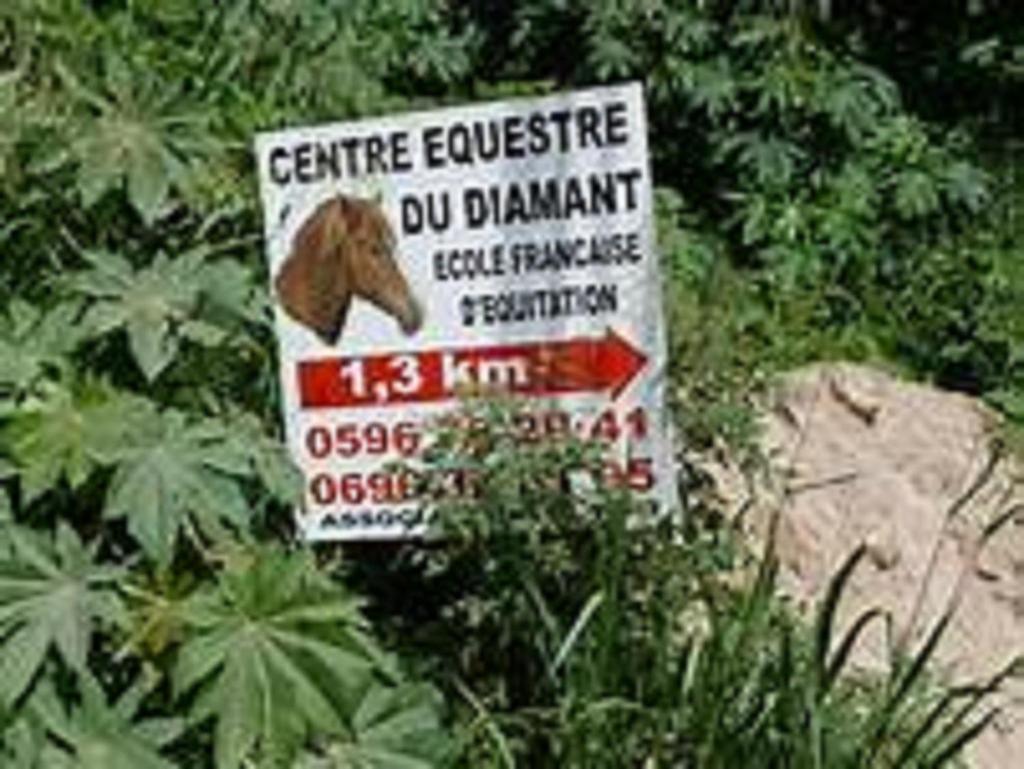 Appartement Rosbambou Les Pieds Dans L Eau Le Diamant Εξωτερικό φωτογραφία